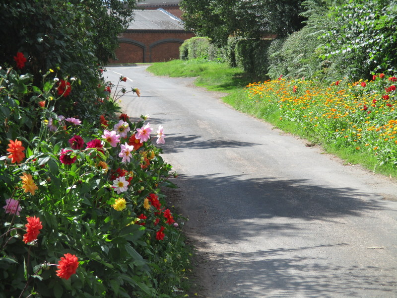 lane flowers